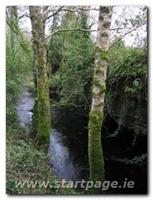 Connemara National Park